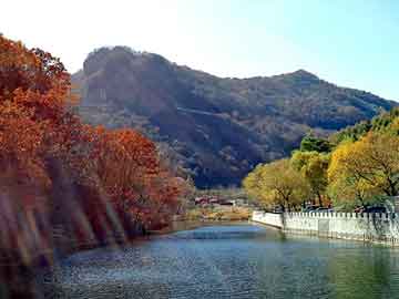 管家婆黑白马报图库，邪君都市行下载